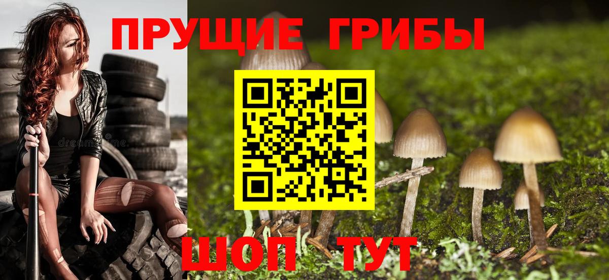 Грозный  Псилоцибиновые грибы ЛСД  Галлюциногенные грибы Psilocybine cubensis  Вход с VPN 