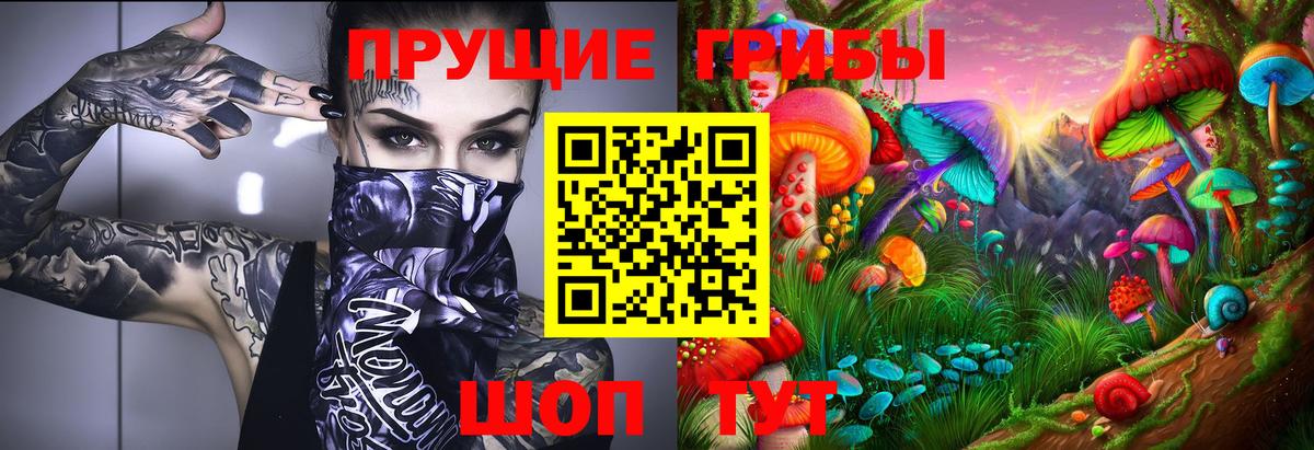 Псилоцибиновые грибы GOLDEN TEACHER Грозный